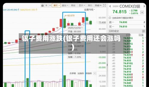 银子费用涨跌(银子费用还会涨吗)