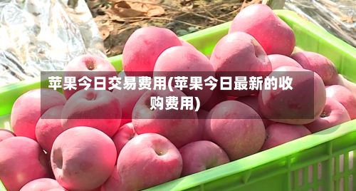 苹果今日交易费用(苹果今日最新的收购费用)