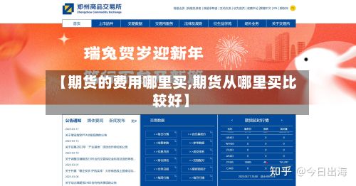【期货的费用哪里买,期货从哪里买比较好】-第2张图片