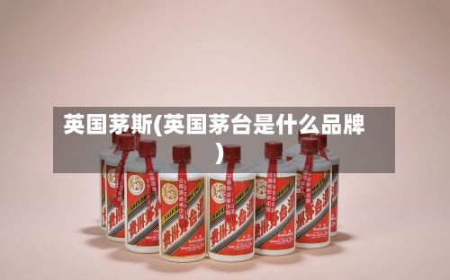 英国茅斯(英国茅台是什么品牌)