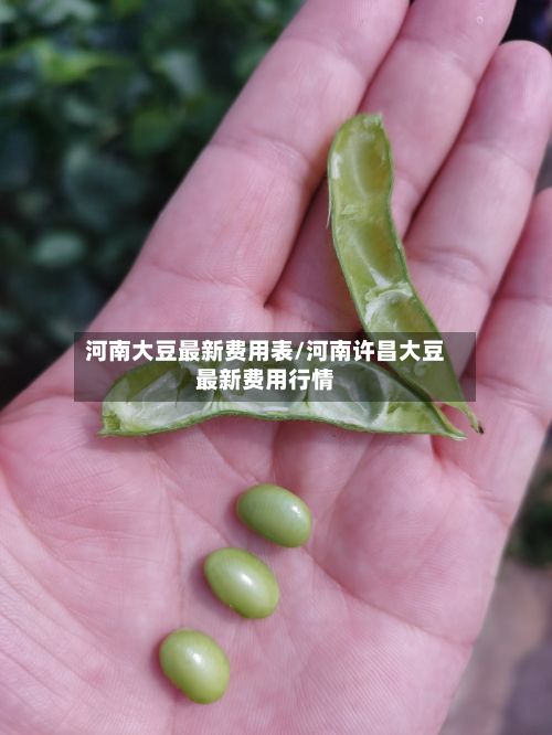 河南大豆最新费用表/河南许昌大豆最新费用行情-第3张图片