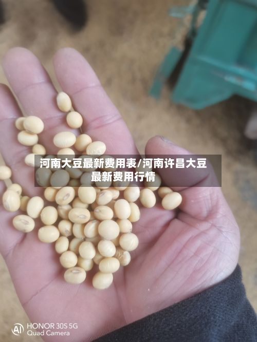 河南大豆最新费用表/河南许昌大豆最新费用行情-第2张图片