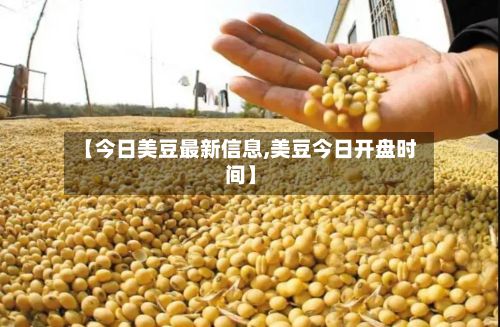 【今日美豆最新信息,美豆今日开盘时间】