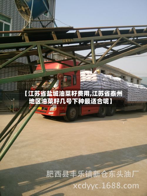 【江苏省盐城油菜籽费用,江苏省泰州地区油菜籽几号下种最适合呢】-第3张图片