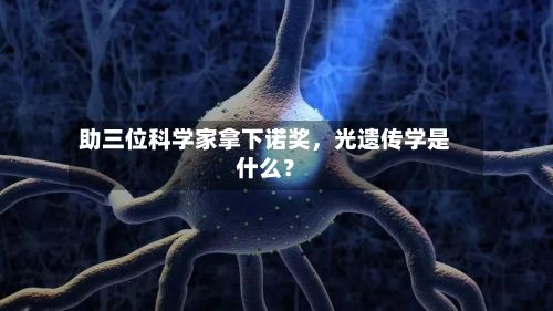 助三位科学家拿下诺奖	，光遗传学是什么？-第1张图片