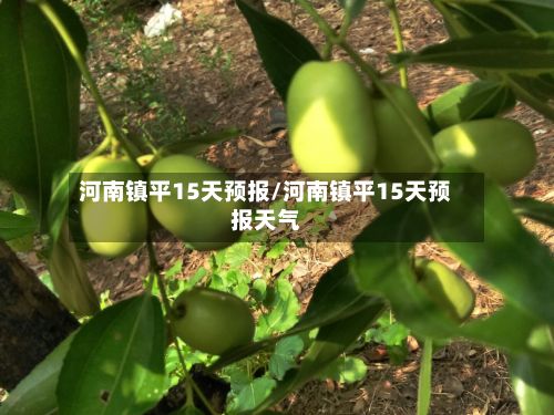 河南镇平15天预报/河南镇平15天预报天气