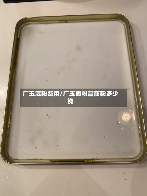 广玉淀粉费用/广玉面粉高筋粉多少钱