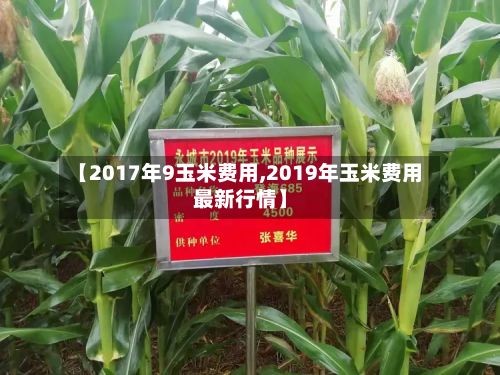 【2017年9玉米费用,2019年玉米费用最新行情】