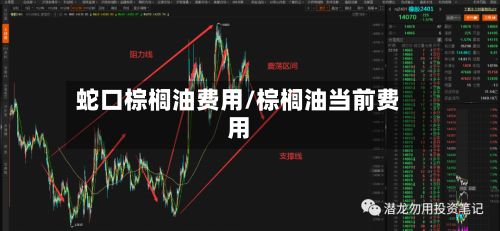 蛇口棕榈油费用/棕榈油当前费用