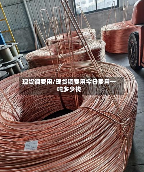 现货铜费用/现货铜费用今日费用一吨多少钱