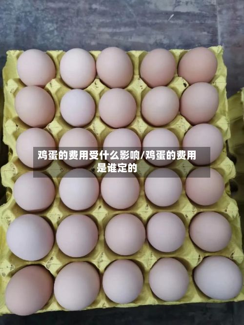 鸡蛋的费用受什么影响/鸡蛋的费用是谁定的