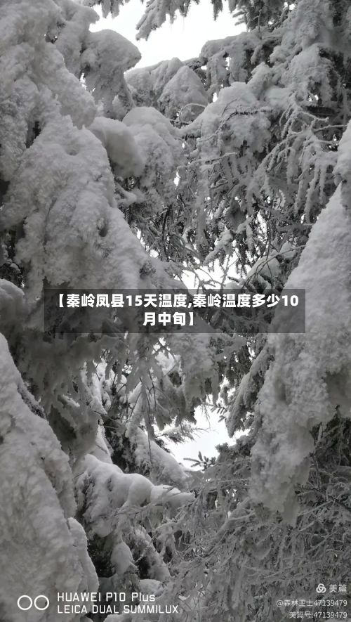 【秦岭凤县15天温度,秦岭温度多少10月中旬】-第2张图片