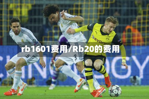 rb1601费用/Rb20的费用