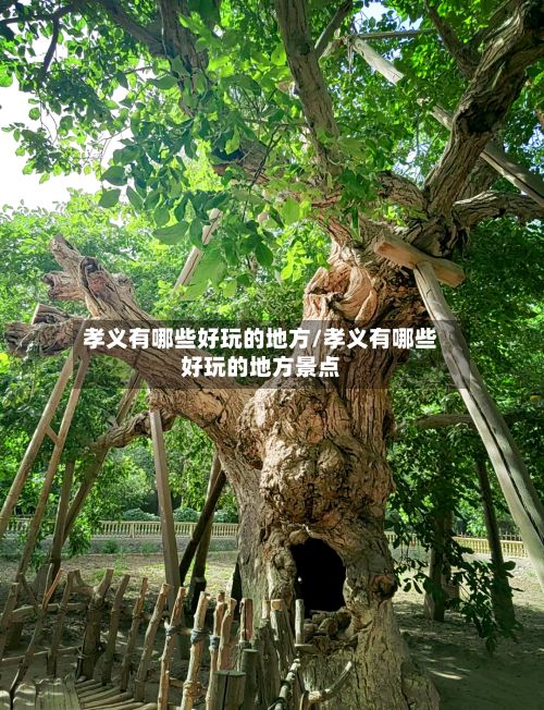 孝义有哪些好玩的地方/孝义有哪些好玩的地方景点-第2张图片