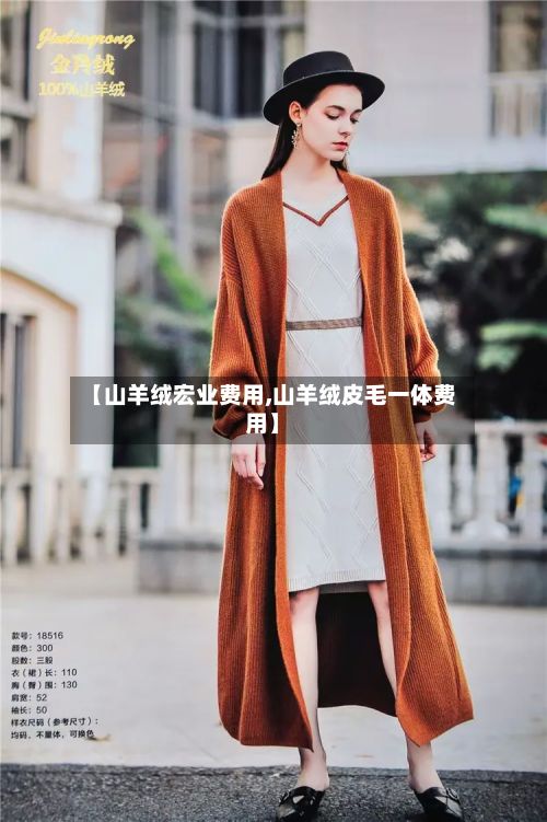 【山羊绒宏业费用,山羊绒皮毛一体费用】-第3张图片