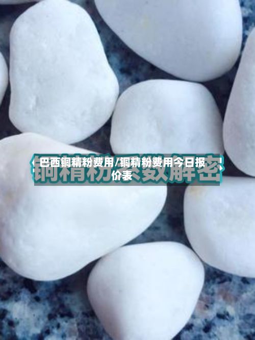巴西铜精粉费用/铜精粉费用今日报价表-第2张图片