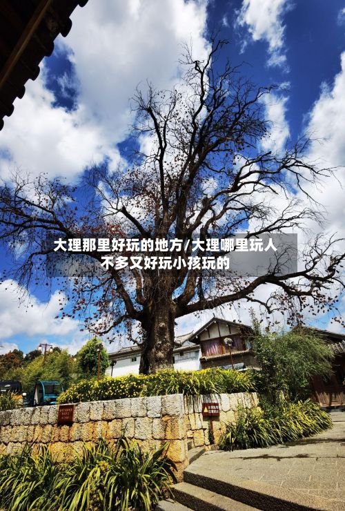 大理那里好玩的地方/大理哪里玩人不多又好玩小孩玩的
