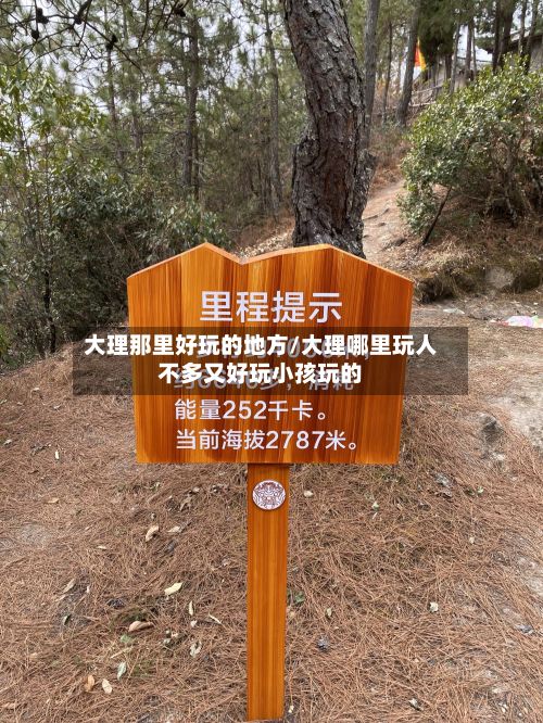大理那里好玩的地方/大理哪里玩人不多又好玩小孩玩的-第2张图片