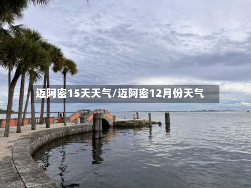 迈阿密15天天气/迈阿密12月份天气-第3张图片