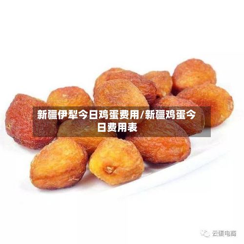 新疆伊犁今日鸡蛋费用/新疆鸡蛋今日费用表-第2张图片