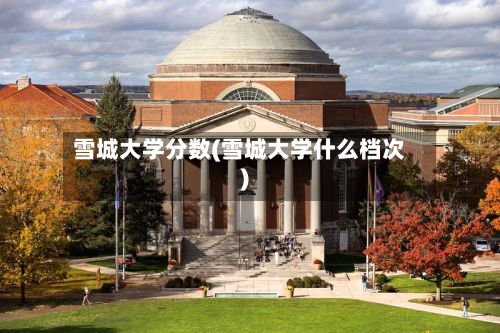 雪城大学分数(雪城大学什么档次)-第2张图片