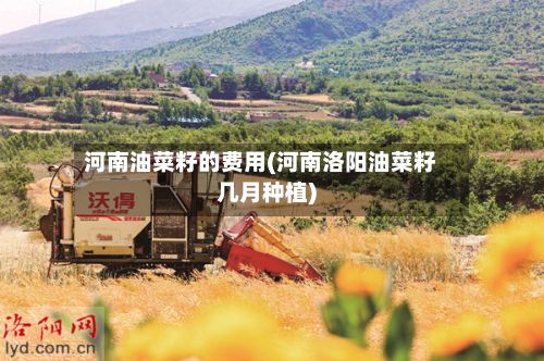 河南油菜籽的费用(河南洛阳油菜籽几月种植)-第2张图片