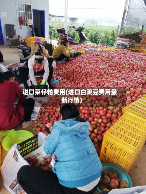 进口菜仔粕费用(进口白豌豆费用最新行情)