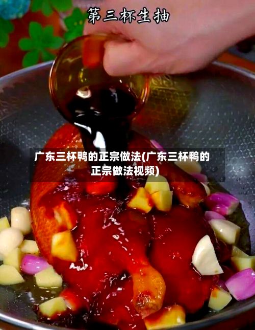 广东三杯鸭的正宗做法(广东三杯鸭的正宗做法视频)-第2张图片