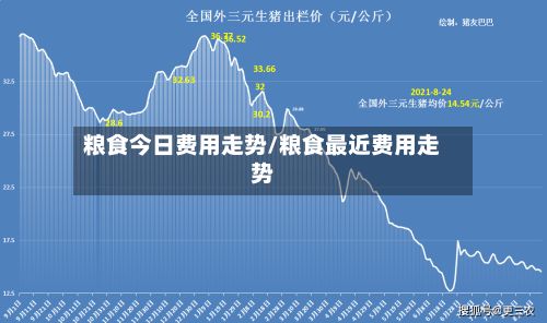 粮食今日费用走势/粮食最近费用走势-第3张图片