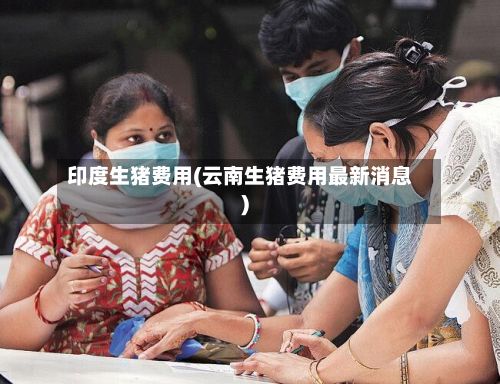 印度生猪费用(云南生猪费用最新消息)