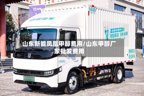 山东新能凤凰甲醇费用/山东甲醇厂家批发费用-第3张图片