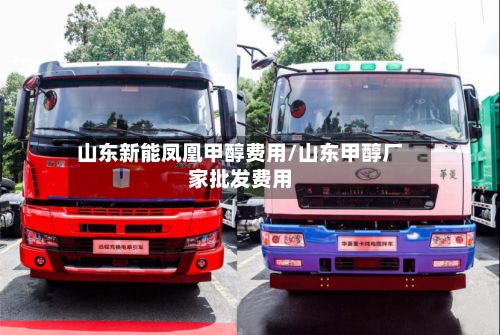 山东新能凤凰甲醇费用/山东甲醇厂家批发费用-第2张图片