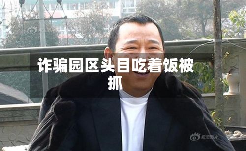 诈骗园区头目吃着饭被抓