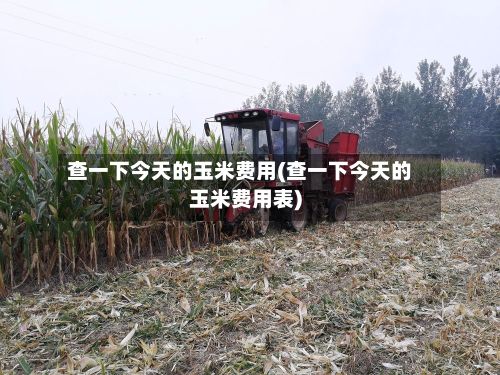 查一下今天的玉米费用(查一下今天的玉米费用表)