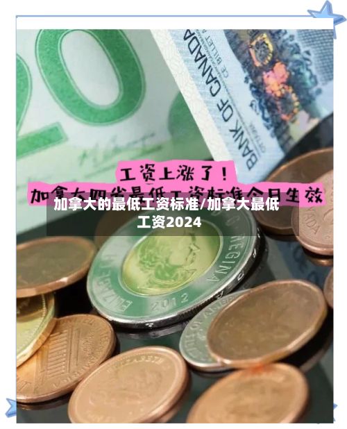 加拿大的最低工资标准/加拿大最低工资2024-第3张图片