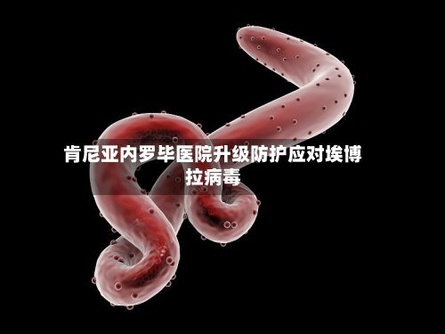 肯尼亚内罗毕医院升级防护应对埃博拉病毒