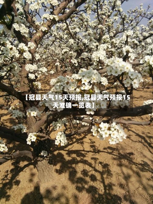 【冠县天气15天预报,冠县天气预报15天准确一览表】
