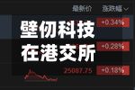 壁仞科技在港交所公告，根据一般授权配售新H股	，H股配售价为每股31.08港元，配售事项所得款项总额将为40.404亿港元-第3张图片