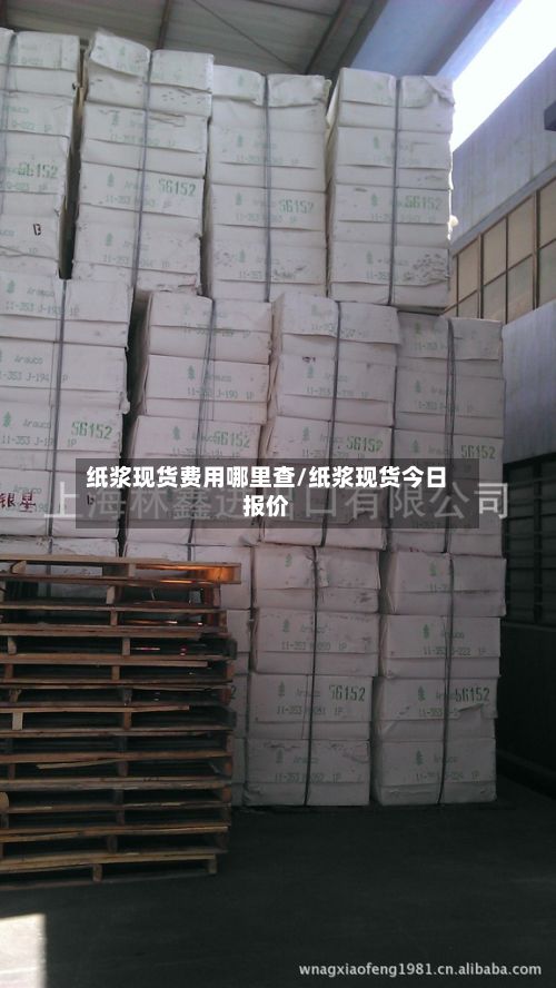纸浆现货费用哪里查/纸浆现货今日报价