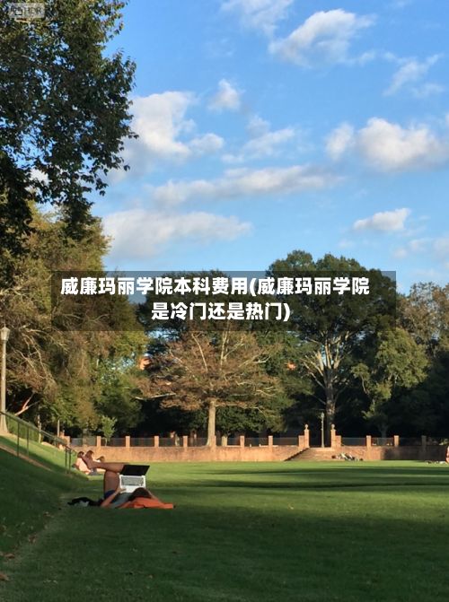 威廉玛丽学院本科费用(威廉玛丽学院是冷门还是热门)-第2张图片
