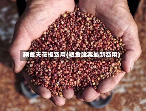 粮食天花板费用(粮食股票最新费用)