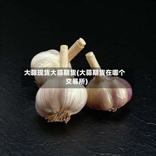 大蒜现货大蒜期货(大蒜期货在哪个交易所)