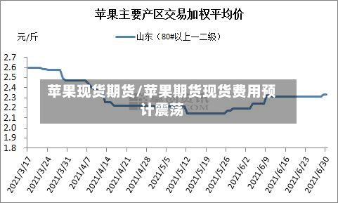 苹果现货期货/苹果期货现货费用预计震荡