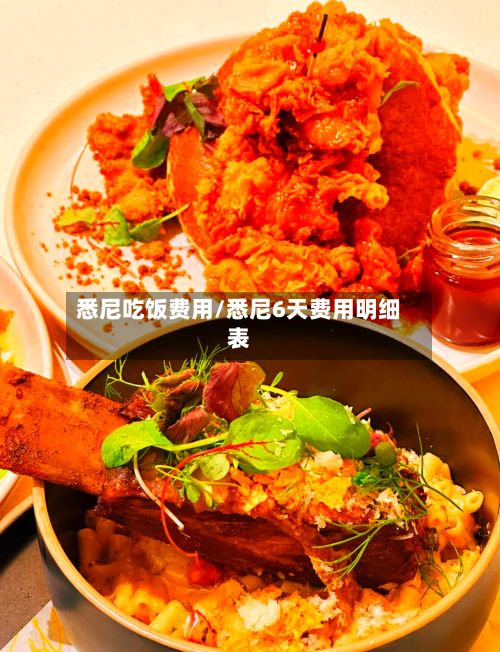 悉尼吃饭费用/悉尼6天费用明细表-第2张图片