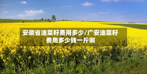 安徽省油菜籽费用多少/广安油菜籽费用多少钱一斤啊