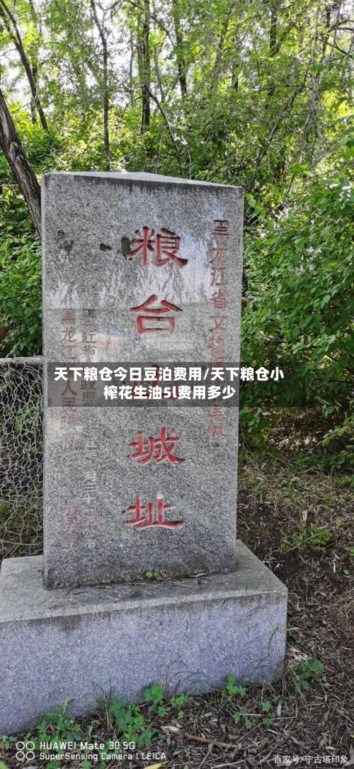 天下粮仓今日豆泊费用/天下粮仓小榨花生油5l费用多少