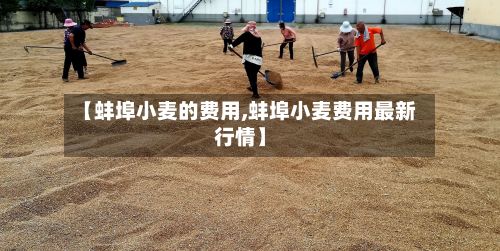 【蚌埠小麦的费用,蚌埠小麦费用最新行情】-第3张图片
