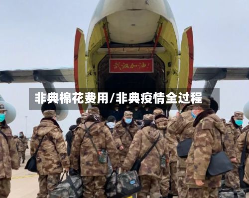 非典棉花费用/非典疫情全过程-第3张图片