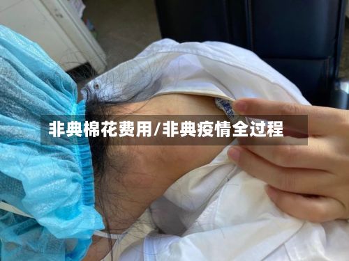 非典棉花费用/非典疫情全过程