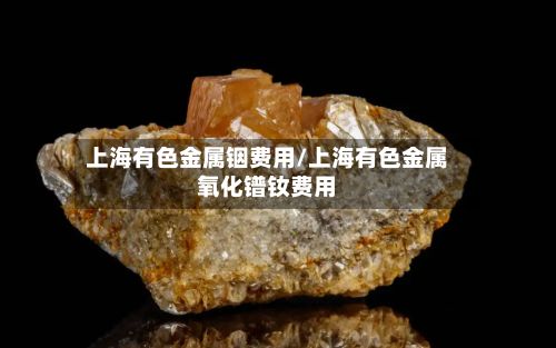 上海有色金属铟费用/上海有色金属氧化镨钕费用-第2张图片